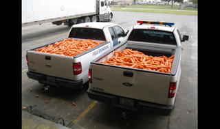 Illustration for article titled Damn, Who Snitched on My Weed CarrotsÂ